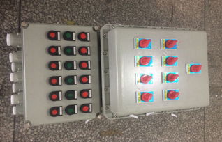 10kV防爆照明配电箱厂家产品展示 高清大图详解与控制按钮功能